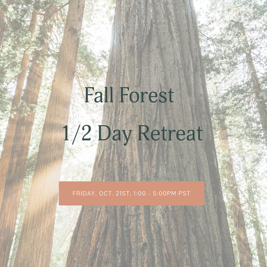 Fall Forest 1/2 Day Retreat
